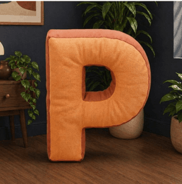 Placy logo